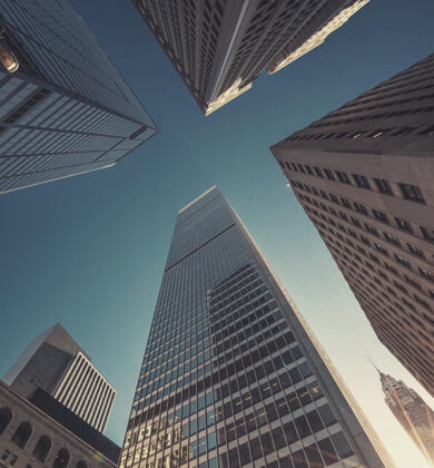 Portfolio Image